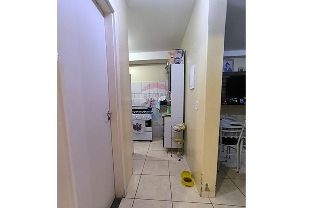 Apartamento - Venda - Rio Verde , Goiás - WhatsApp Image 2025-09-09 at 14.15.19 (2).jpeg - 722371009-1