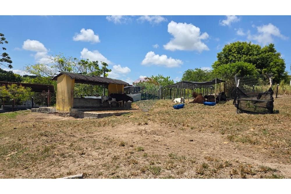 Terreno - Venda - Conde , Paraíba - WhatsApp Image 2025-12-02 at 17.17.45.jpeg - 720871015-141