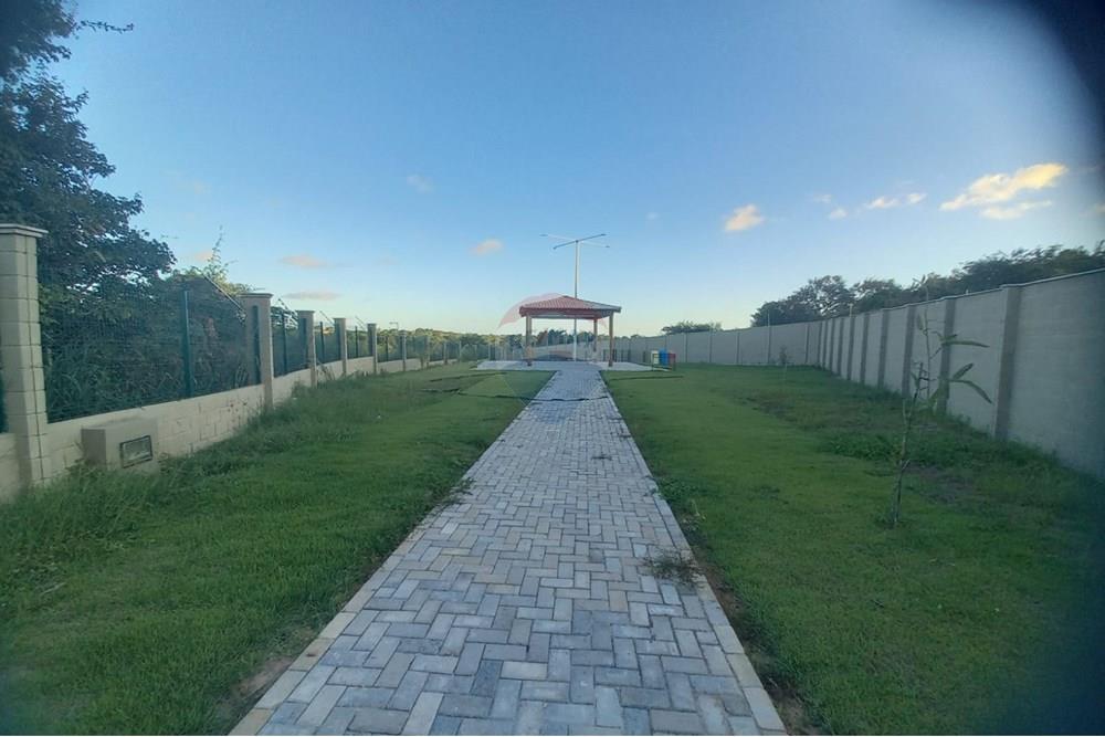 Terreno - Venda - Parnamirim , Rio Grande do Norte - WhatsApp Image 2025-07-03 at 14.11.51.jpeg - 720891228-7