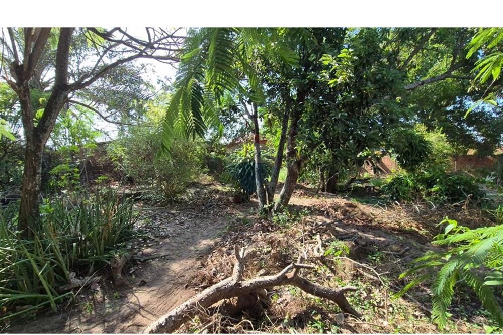 Terreno - Venda - Parnamirim , Rio Grande do Norte - WhatsApp Image 2026-03-02 at 10.05.19 (2).jpeg - 720811040-40