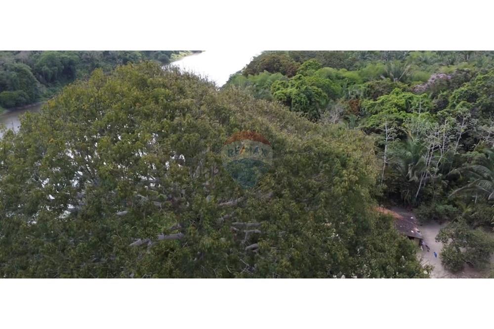 Fazenda - Venda - Rosário , Maranhão - IMG_0644.jpg - 722281002-38