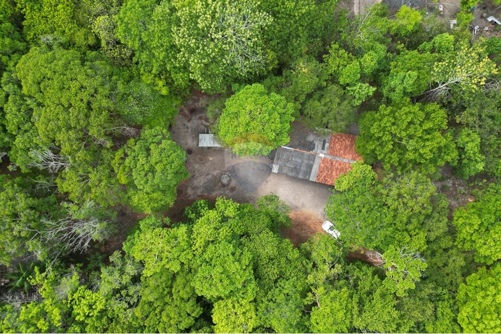 Chácara / Sítio / Fazenda - Venda - Babaçulândia , Tocantins - DJI_0092.JPG - 720991008-82