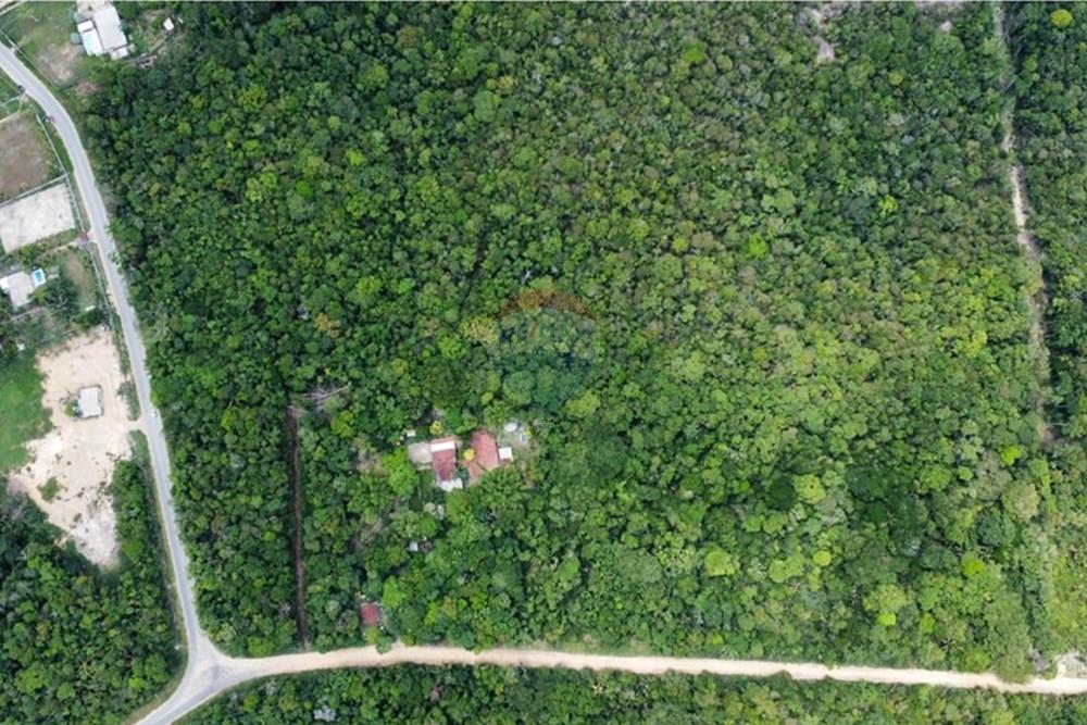 Terreno - Venda - Manaus , Amazonas - IMG-20251021-WA0183.jpg - 720721007-235