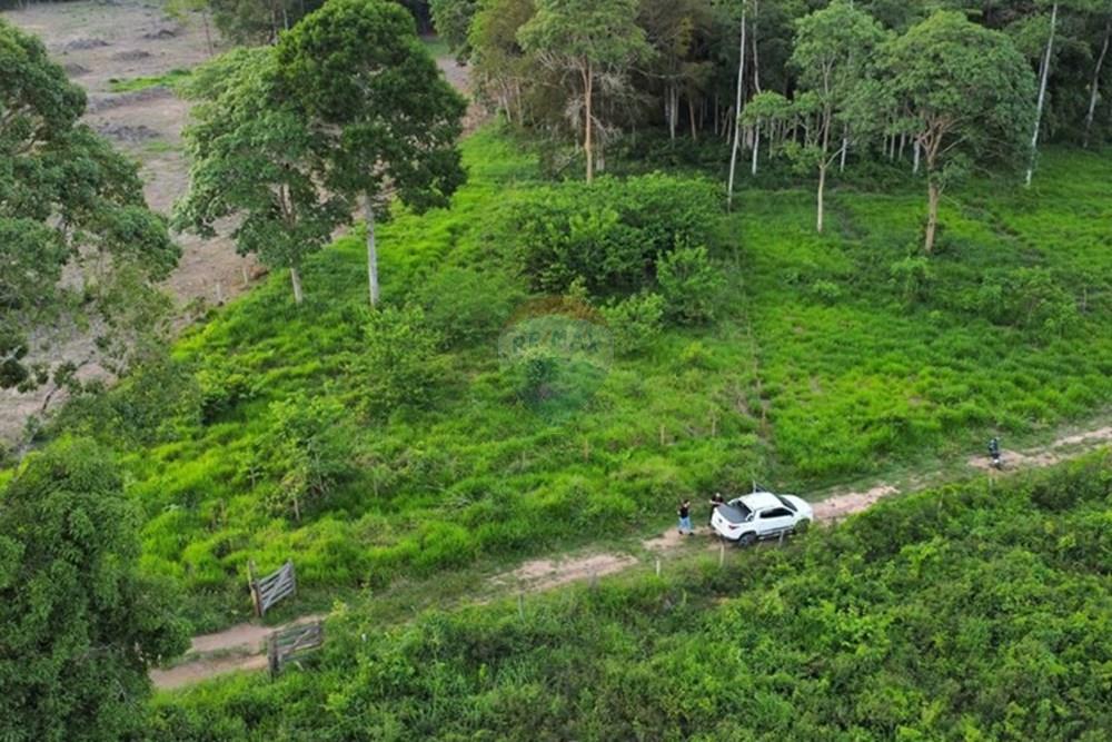 Terreno - Venda - Ji-Paraná , Rondônia - WhatsApp Image 2025-11-12 at 10.45.35.jpeg - 722391007-7