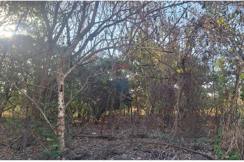 Outros - Venda - Rondonópolis , Mato Grosso - IMG-20250830-WA0123.jpg - 721981068-7