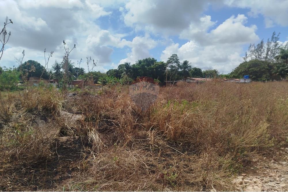 Terreno - Venda - Nísia Floresta , Rio Grande do Norte - WhatsApp Image 2024-11-22 at 21.32.40 (1).jpeg - 720891013-275