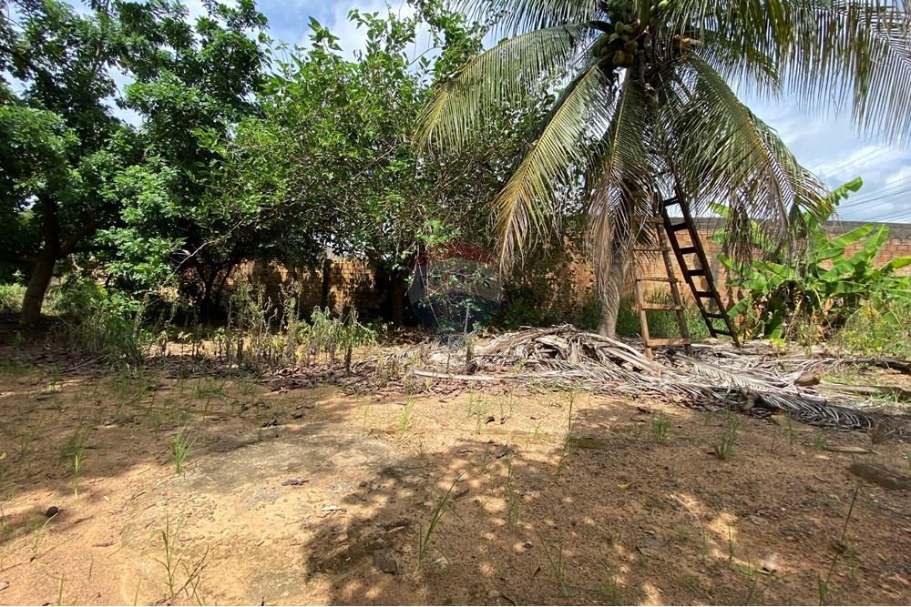 Terreno - Venda - Jaru , Rondônia - IMG_6345.JPG - 721551072-30