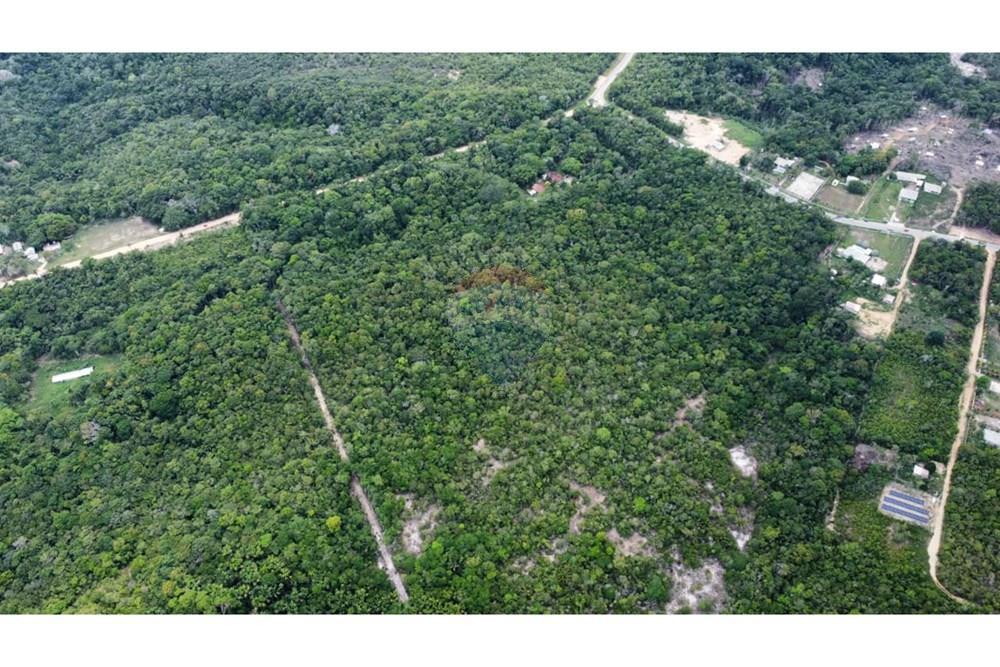Terreno - Venda - Manaus , Amazonas - WhatsApp Image 2025-12-18 at 17.09.44.jpeg - 720721004-184