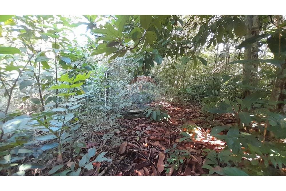 Chácara / Sítio / Fazenda - Venda - Porto Velho , Rondônia - Imagem do WhatsApp de 2025-05-21 à(s) 09.26.07_f7af342a.jpg - 721551046-37