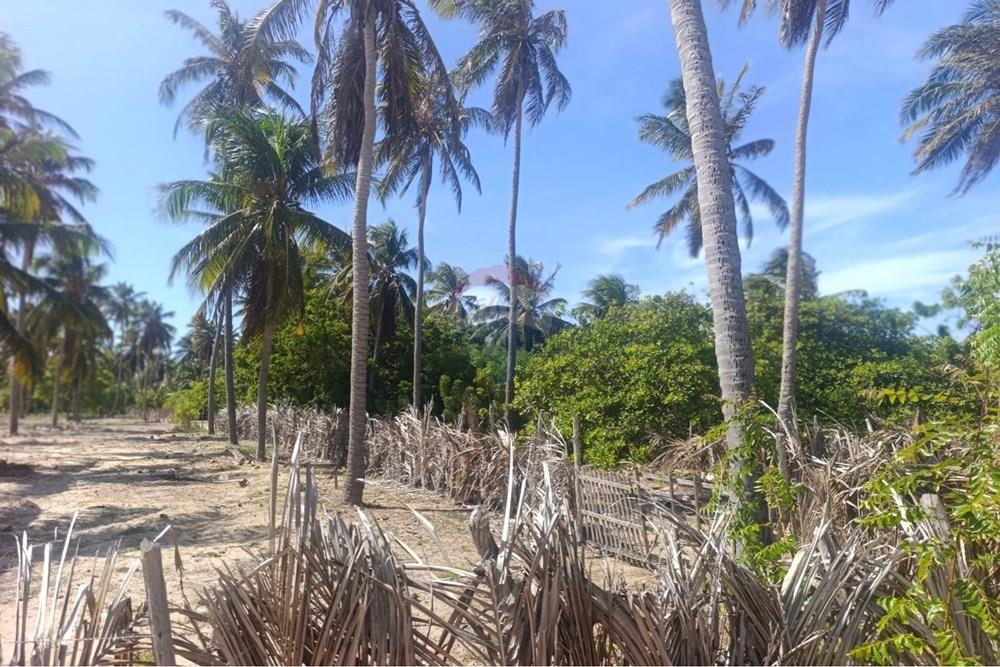 Terreno - Venda - Trairi , Ceará - WhatsApp Image 2026-01-28 at 14.05.42.jpeg - 722341005-47