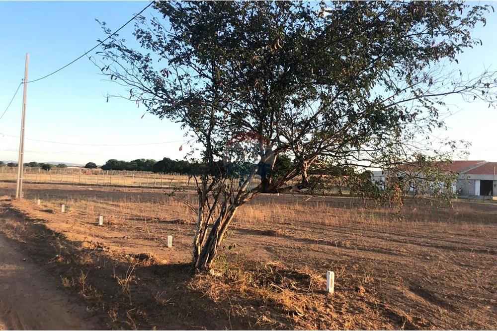 Terreno - Venda - Iguatu , Ceará - Imagem do WhatsApp de 2025-08-28 à(s) 08.43.05_045ba8ca.jpg - 720931002-374