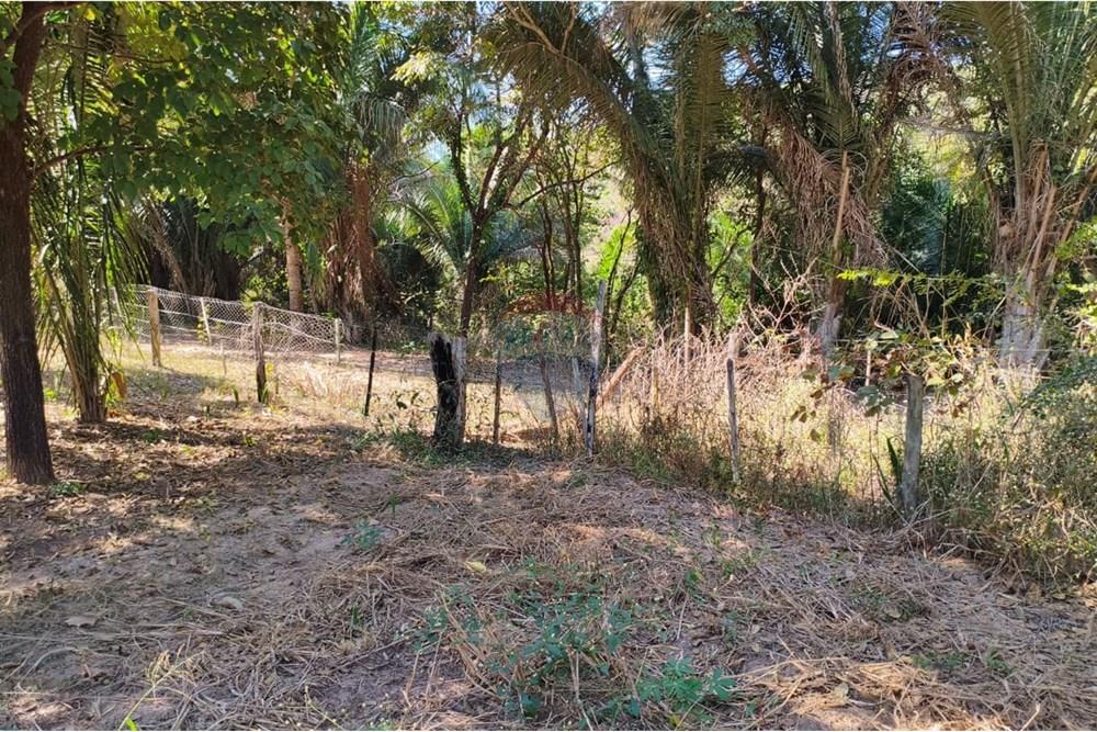 Terreno - Venda - Rondonópolis , Mato Grosso - Imagem do WhatsApp de 2025-08-21 à(s) 13.38.53_4c27e5c3.jpg - 722261012-23
