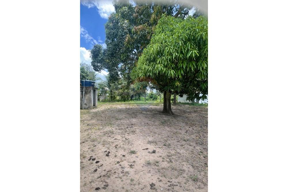 Chácara / Sítio / Fazenda - Venda - São José de Mipibu , Rio Grande do Norte - 36.jpg - 720891280-13