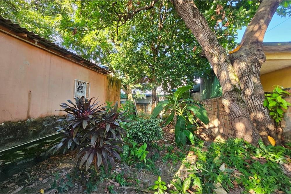 Terreno - Venda - Manaus , Amazonas - WhatsApp Image 2025-12-12 at 14.12.17.jpeg - Quintal - 720401101-2