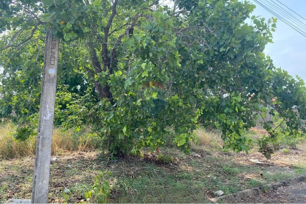 Terreno - Venda - Araguaína , Tocantins - WhatsApp Image 2025-10-30 at 10.01.54.jpeg - 722171001-75