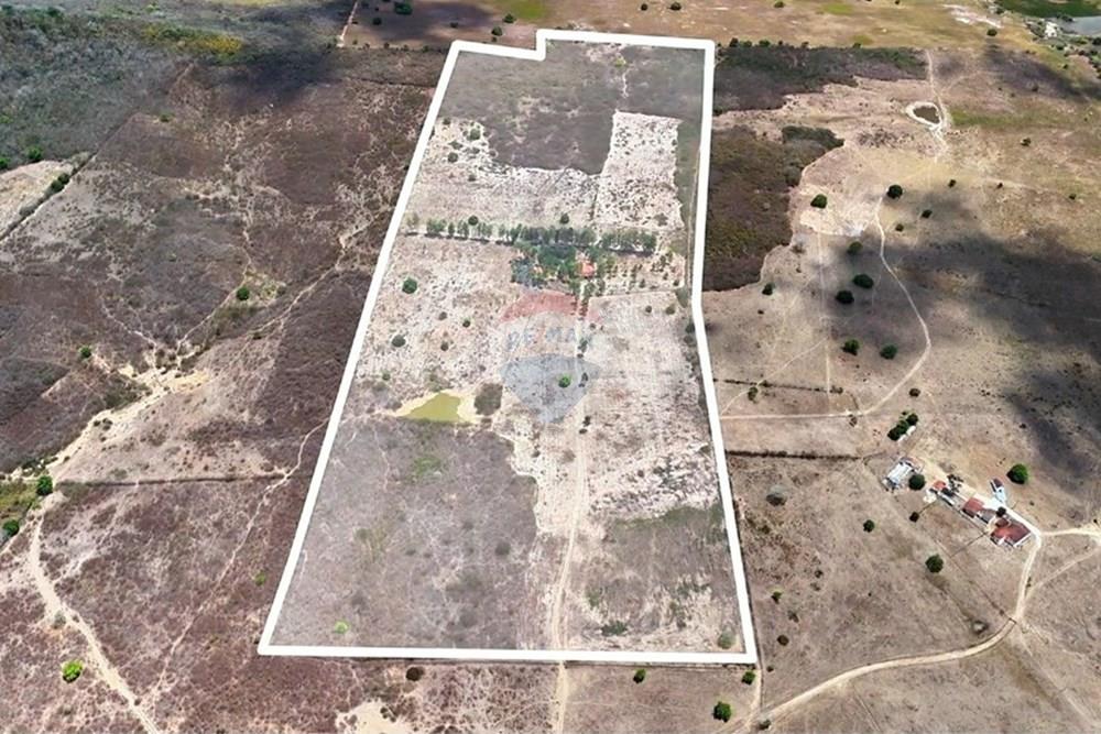 Chácara / Sítio / Fazenda - Venda - Itabaiana , Paraíba - lv_0_20251216180645(29).jpg - 722011055-49