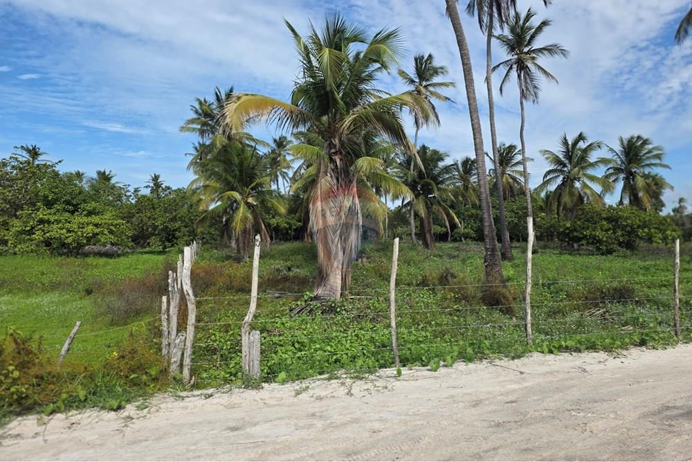 Terreno - Venda - Acaraú , Ceará - 1000542806.jpg - 722341001-188