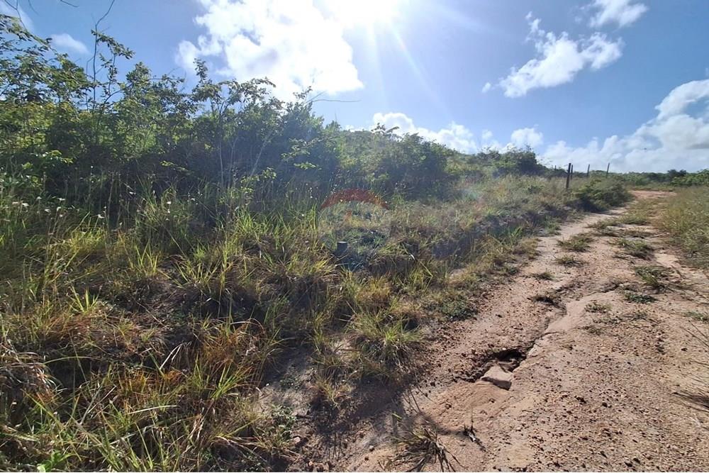 Terreno - Venda - Pitimbu , Paraíba - 2265eeed-c469-4599-bbfe-9787985293c9.jpeg - 720871044-88