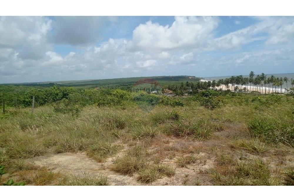 Terreno - Venda - Pitimbu , Paraíba - WhatsApp Image 2025-05-14 at 14.34.12.jpeg - 720871031-80