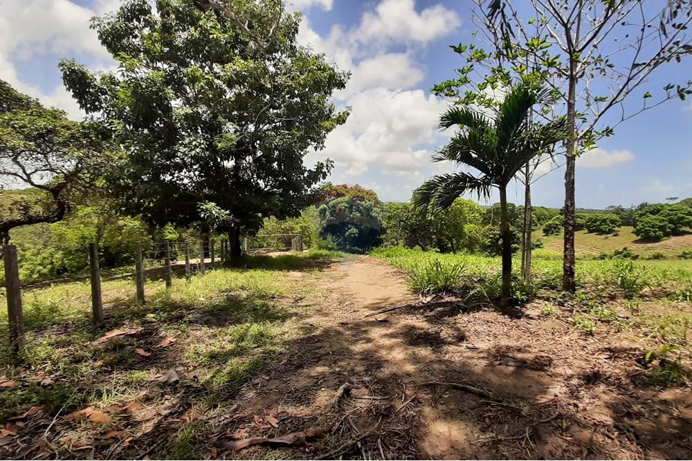 Chácara / Sítio / Fazenda - Venda - Conde , Paraíba - 20211021_110118.jpg - 722011055-33