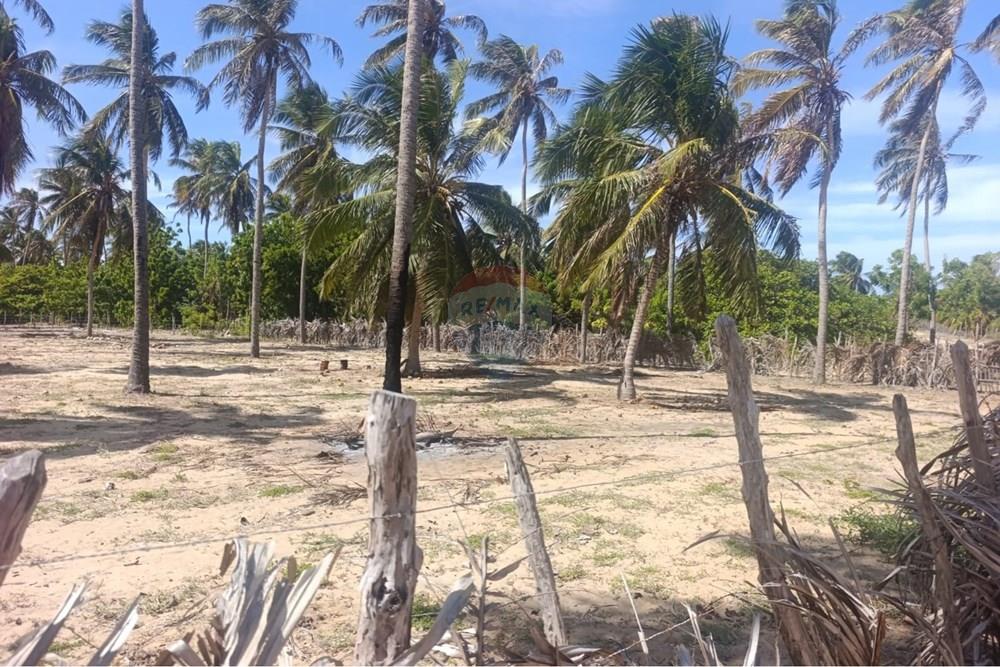Terreno - Venda - Trairi , Ceará - WhatsApp Image 2026-01-28 at 14.05.43 (1).jpeg - 722341005-47