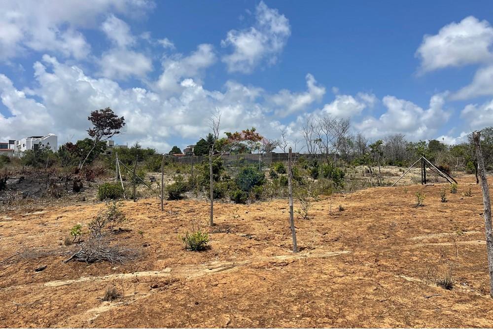 Terreno - Venda - Conde , Paraíba - WhatsApp Image 2025-01-02 at 15.58.03.jpeg - 720871004-174