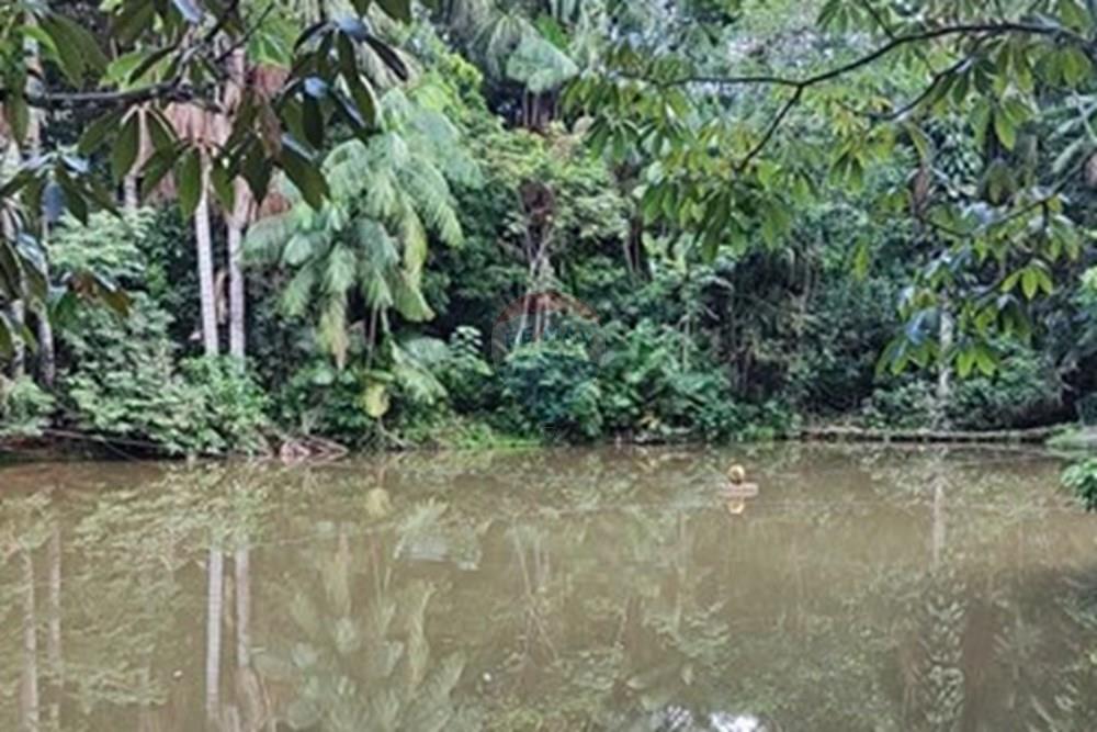 Casa de Condomínio - Venda - Manaus , Amazonas - IMG_20251216_141451_1.jpg - 722051049-19