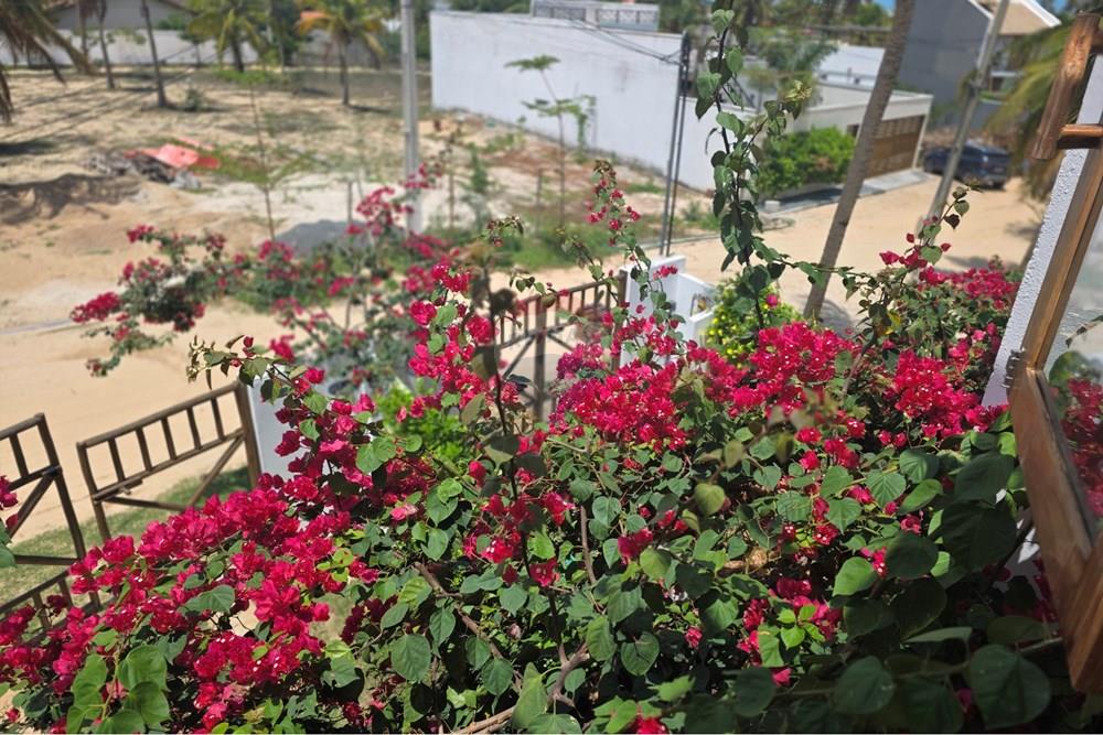 Casa - Venda - Cruz , Ceará - 1000429777.jpg - 722341001-159