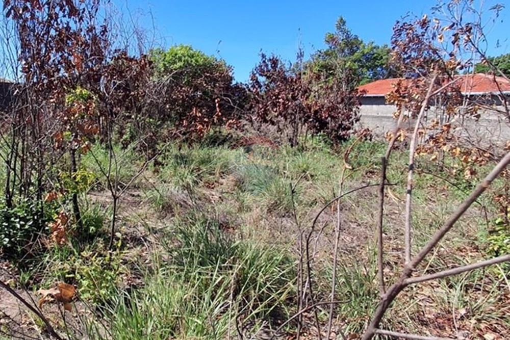 Terreno - Venda - Conde , Paraíba - e899cb9d-8c70-4571-9db8-72c81972349e.jpeg - 720871044-68