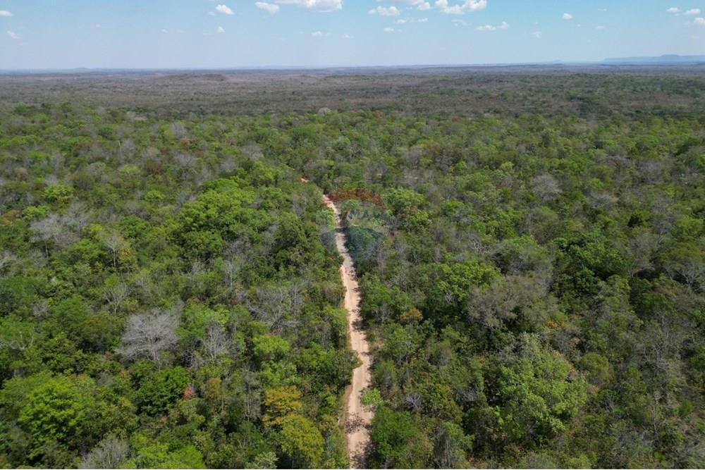 Agro - Venda - Carolina , Maranhão - WhatsApp Image 2025-08-28 at 17.45.08 (2).jpeg - 720991010-76