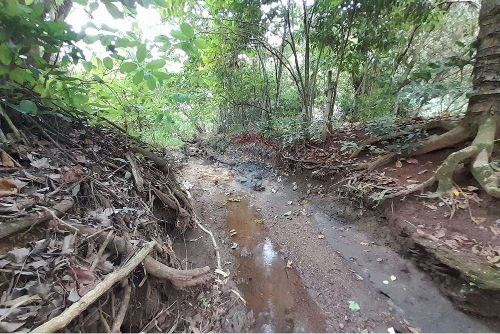 Chácara / Sítio / Fazenda - Venda - Goiânia , Goiás - WhatsApp Image 2025-12-15 at 15.12.35.jpeg - 722271015-41