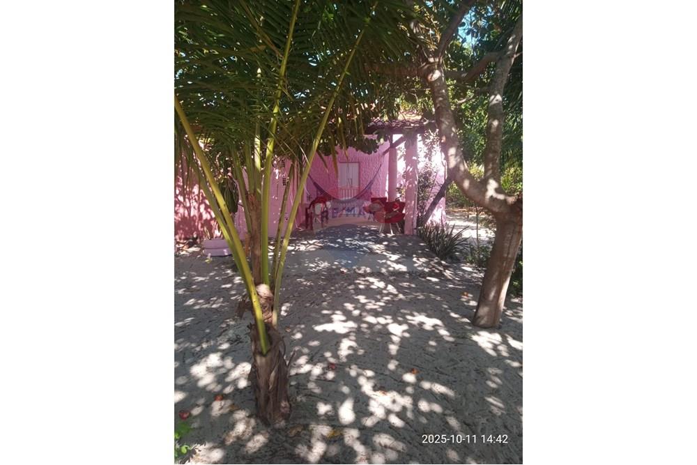 Chácara / Sítio / Fazenda - Venda - Parnaíba , Piauí - WhatsApp Image 2025-10-15 at 09.35.37.jpeg - 722361007-3