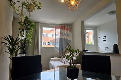 Alugar-Apartamento-Rua Bonfim , 1047  - Próximo a Av Dom Pedro  - Alto do Ipiranga , Ribeirão Preto , São Paulo , 14055060-780171048-85