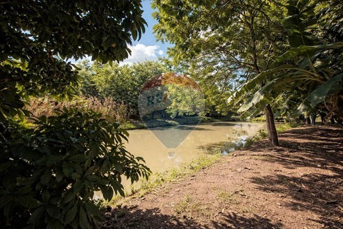 Venda-Chácara / Sítio / Fazenda-Chácaras de Recreio Pedregal - Vila Garcia , Sertãozinho , São Paulo , 14176895-780191016-54