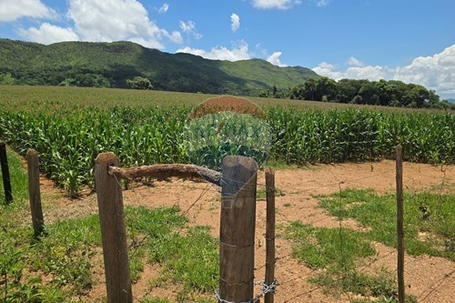 Venda-Chácara / Sítio / Fazenda-Centro , Delfinópolis , Minas Gerais , 37910000-780251001-45