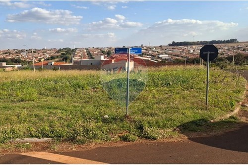 Venda-Terreno-Rua Mauro Alves , Q25L16  - Centro , Cravinhos , São Paulo , 14140000-780091043-55