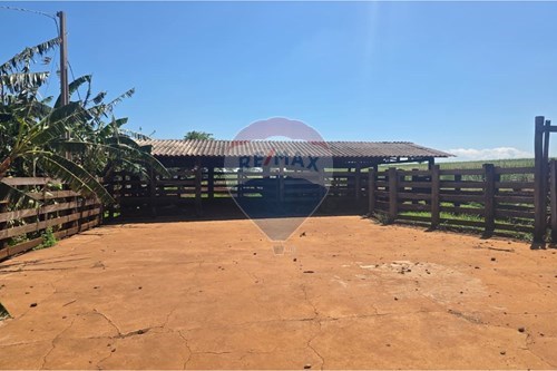 Venda-Chácara / Sítio / Fazenda-ZONA RURAL , 01  - Centro , Buritizal , São Paulo , 14570000-780131009-139
