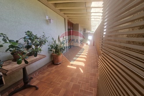 Alugar-Casa Comercial-Alto da Boa Vista , Ribeirão Preto , São Paulo , 14025-170-780171002-65