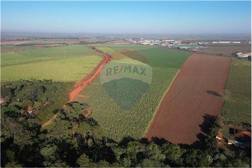 For Sale-Land-Jardinópolis-SP , 0  - Sitio São José  - Centro , Jardinópolis , São Paulo , 14680-000-780141050-39