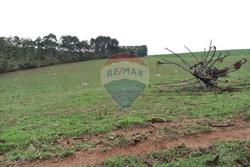 Venda-Chácara / Sítio / Fazenda-Centro , Aiuruoca , Minas Gerais , 37450000-780251035-5