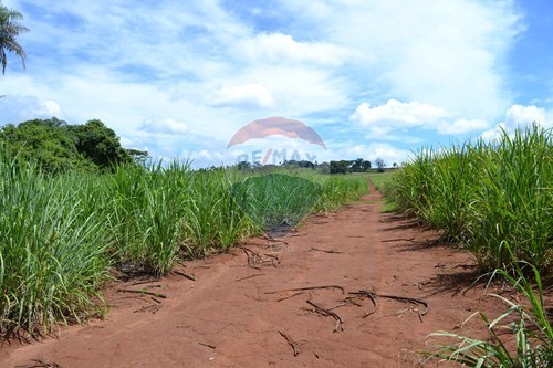 Venda-Agro-Centro , Luís Antônio , São Paulo , 14210-000-780071051-2