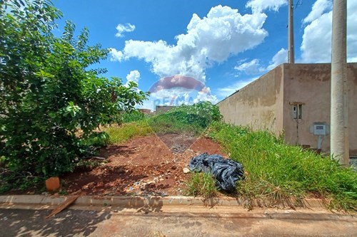 Venda-Terreno-Rua Sebastiao Lucas Fortunato , 0  - Centro , Cravinhos , São Paulo , 14140000-780121006-94
