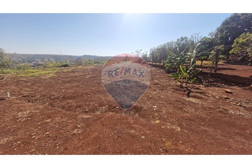 Venda-Chácara / Sítio / Fazenda-Avenida 13 de Maio , 183  - Rodovia Mário Donegá  - Centro , Dumont , São Paulo , 14120000-780181011-281