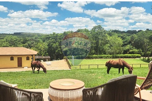 Venda-Chácara / Sítio / Fazenda-Zona Rural , São Sebastião do Paraíso , Minas Gerais , 37950000-780251022-11