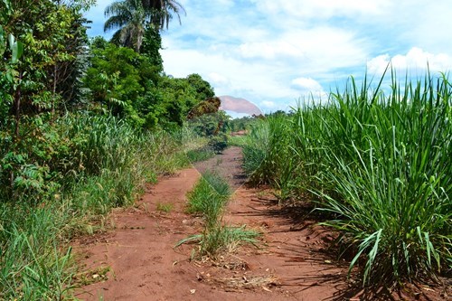 Slider Image Thumbnail