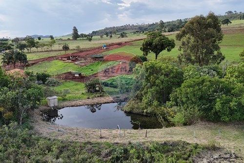 Venda-Fazenda-Centro , Cajuru , São Paulo , 14240400-780271061-50