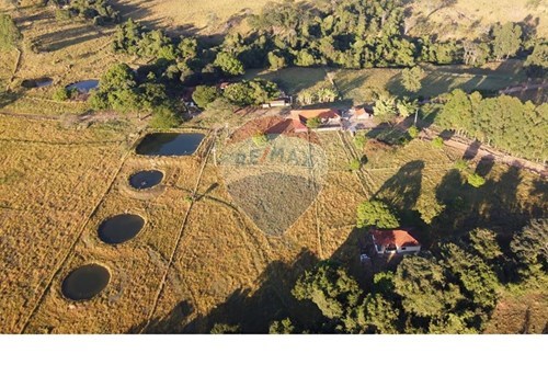 Venda-Chácara / Sítio / Fazenda-Rua Doutor Mata , 00  - Rodovia Cajuru a Altinópolis  na zona rural  - Centro , Cajuru , São Paulo , 14240000-780171030-52