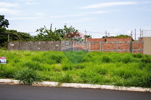 Venda-Terreno-Alto da Barra , São Joaquim da Barra , São Paulo , 14600-000-780301007-9
