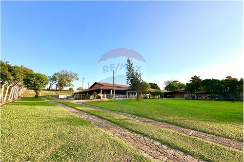 For Sale-Farm-AVENIDA GAGLIANO FRANCISCO PAGLIUSO , 0  - Próximo aos bombeiros  - Taquaritinga , Taquaritinga , São Paulo , 15900-000-780081005-54