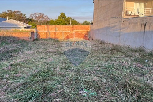 Venda-Terreno-Rua Omildo Capellane , s/n  - Escola Rita Schtitter de Matos  - Centro , Monte Alto , São Paulo , 15910000-780271058-14